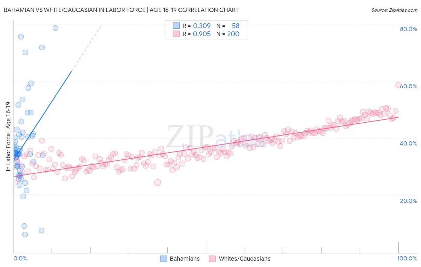 Bahamian vs White/Caucasian In Labor Force | Age 16-19