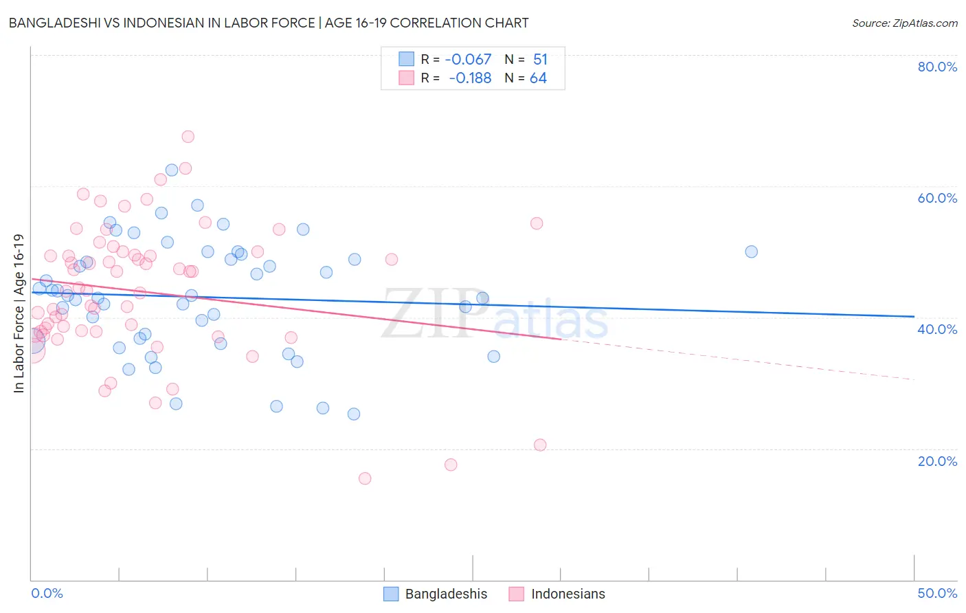 Bangladeshi vs Indonesian In Labor Force | Age 16-19
