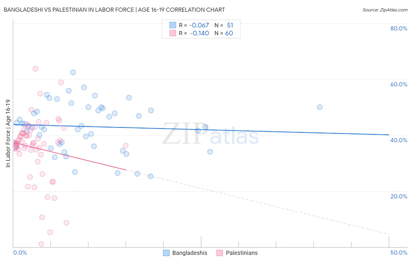 Bangladeshi vs Palestinian In Labor Force | Age 16-19