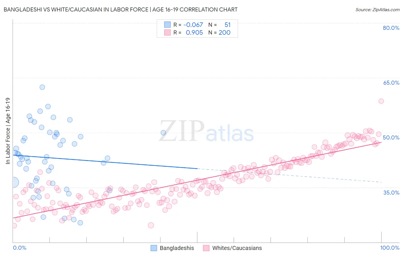 Bangladeshi vs White/Caucasian In Labor Force | Age 16-19