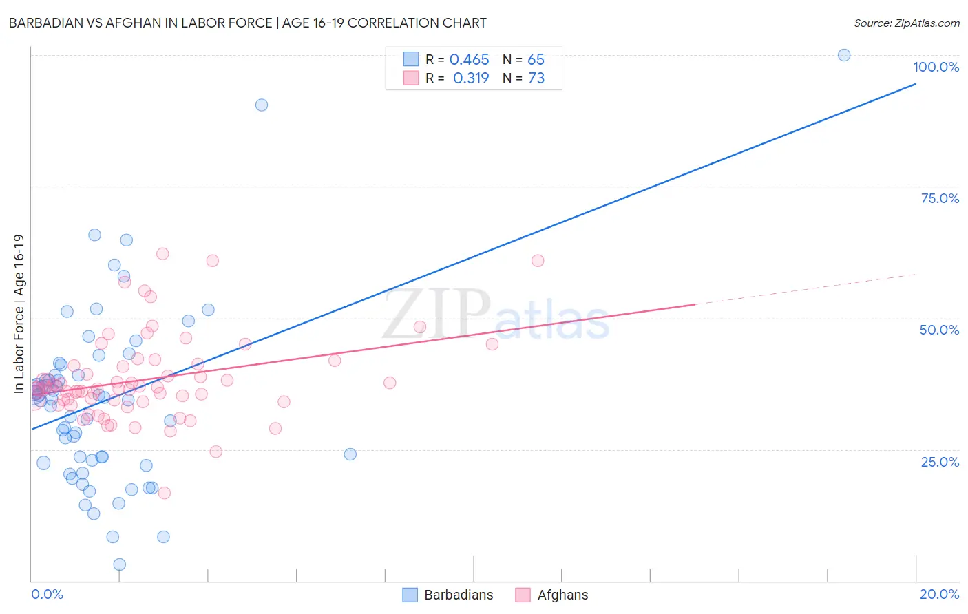 Barbadian vs Afghan In Labor Force | Age 16-19