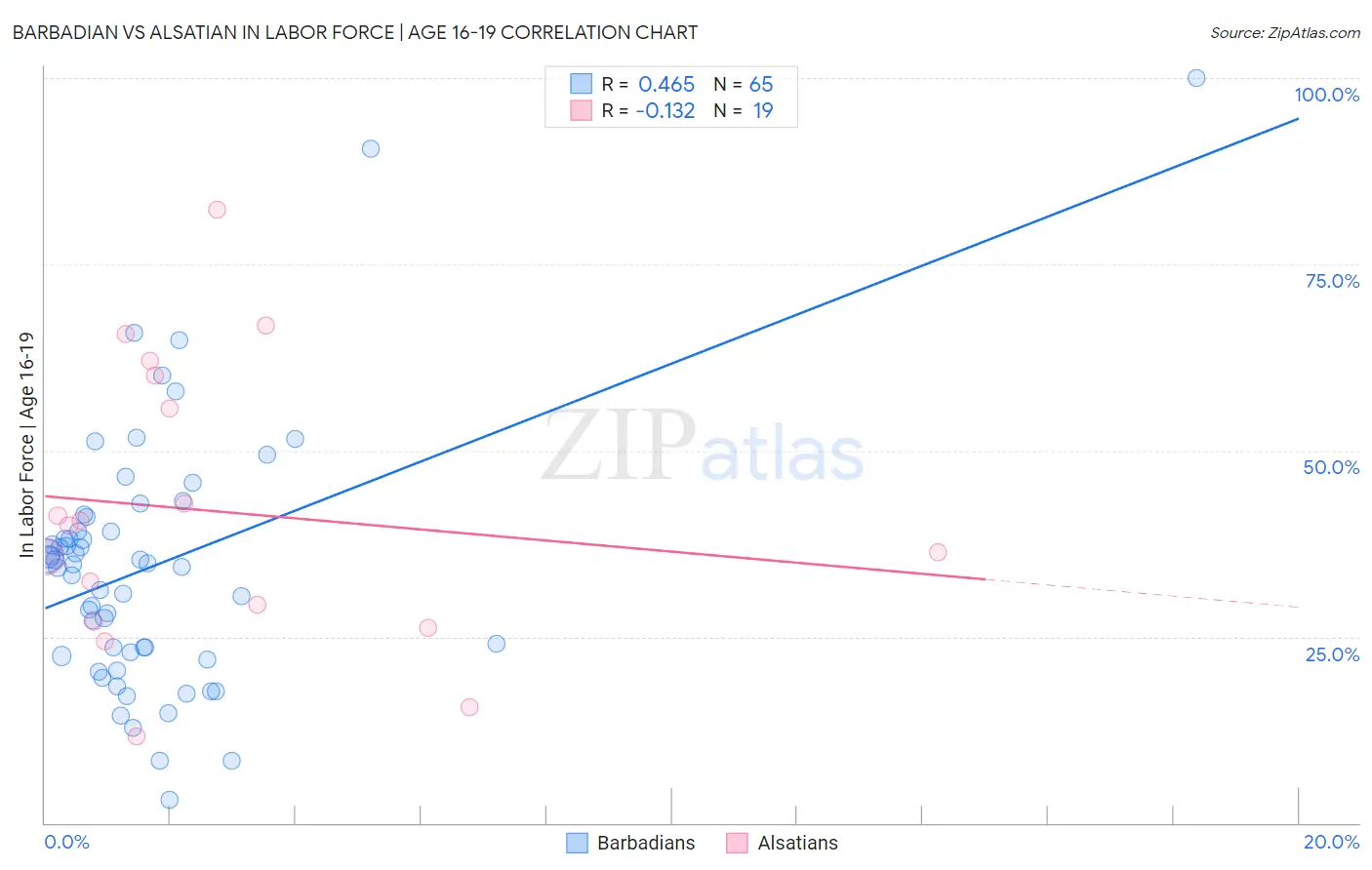 Barbadian vs Alsatian In Labor Force | Age 16-19