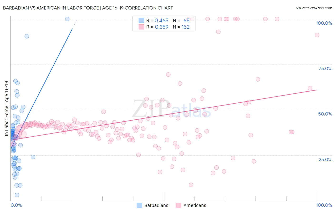 Barbadian vs American In Labor Force | Age 16-19
