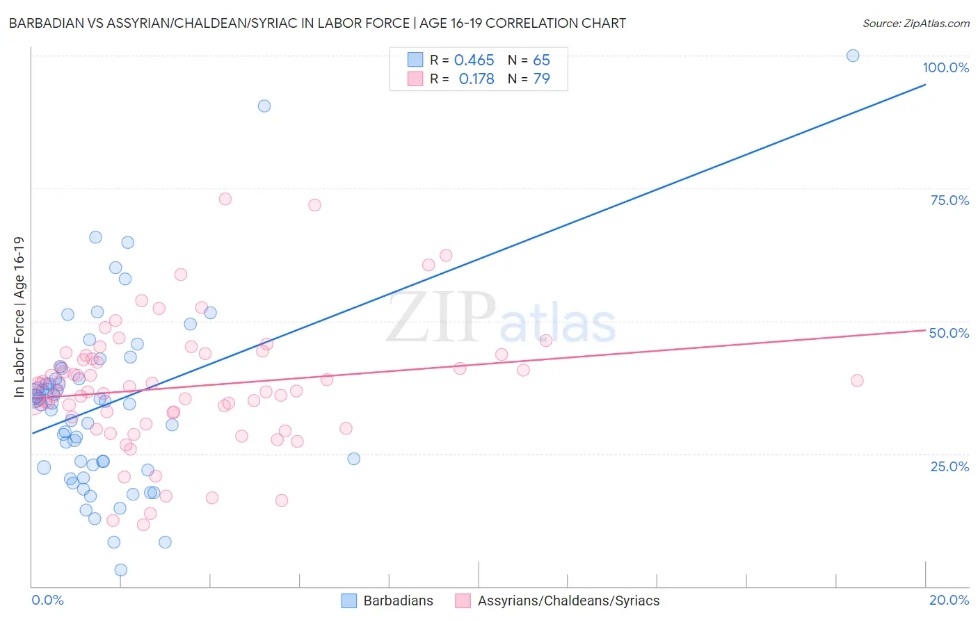 Barbadian vs Assyrian/Chaldean/Syriac In Labor Force | Age 16-19