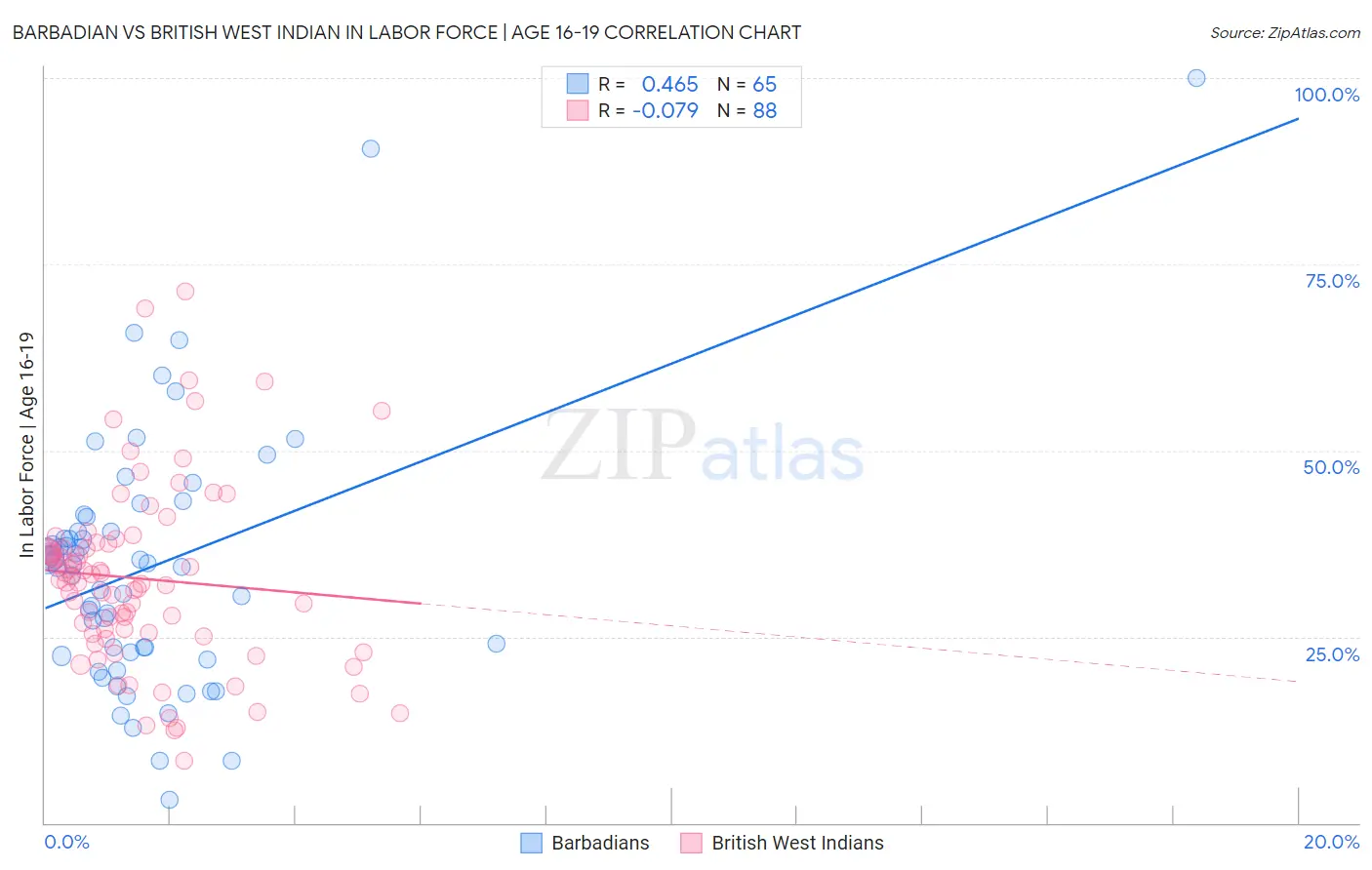 Barbadian vs British West Indian In Labor Force | Age 16-19