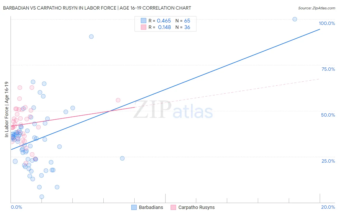 Barbadian vs Carpatho Rusyn In Labor Force | Age 16-19