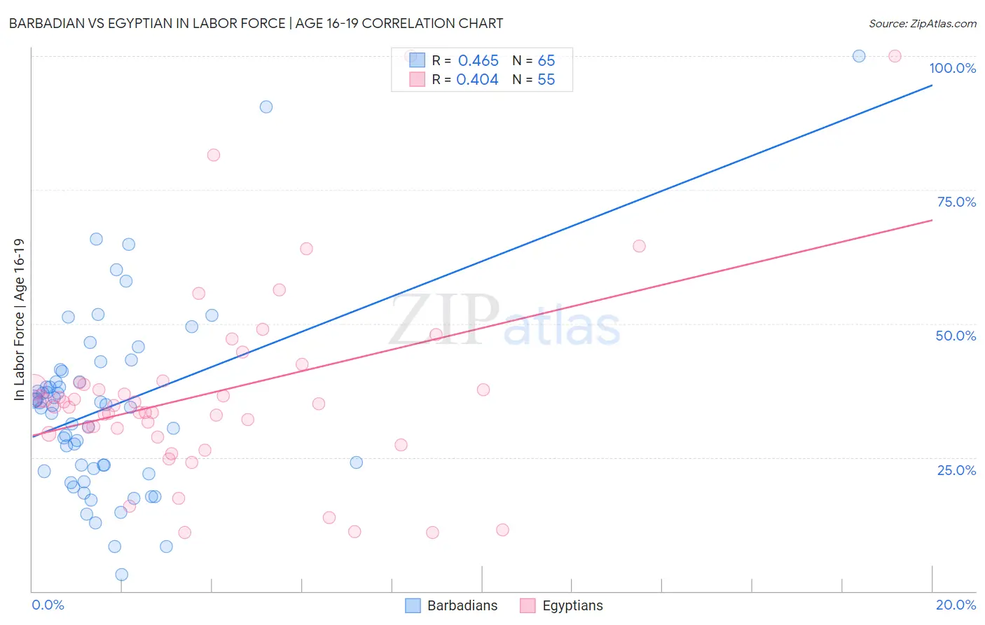 Barbadian vs Egyptian In Labor Force | Age 16-19