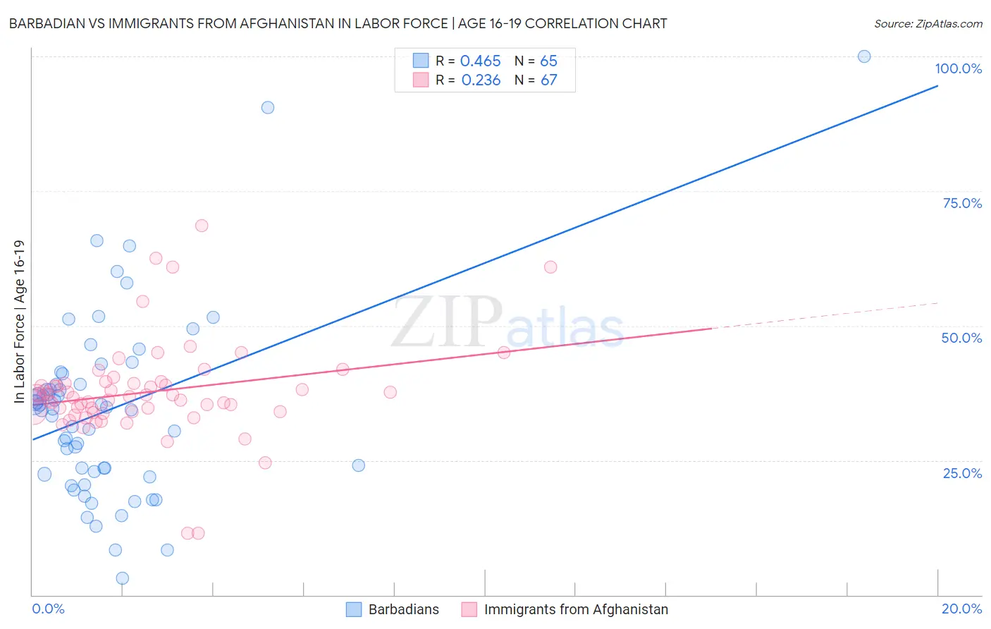 Barbadian vs Immigrants from Afghanistan In Labor Force | Age 16-19