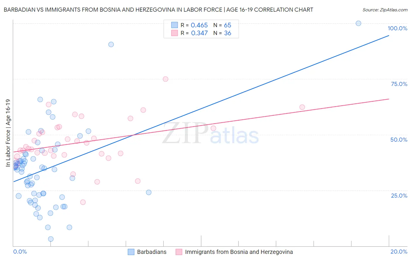 Barbadian vs Immigrants from Bosnia and Herzegovina In Labor Force | Age 16-19