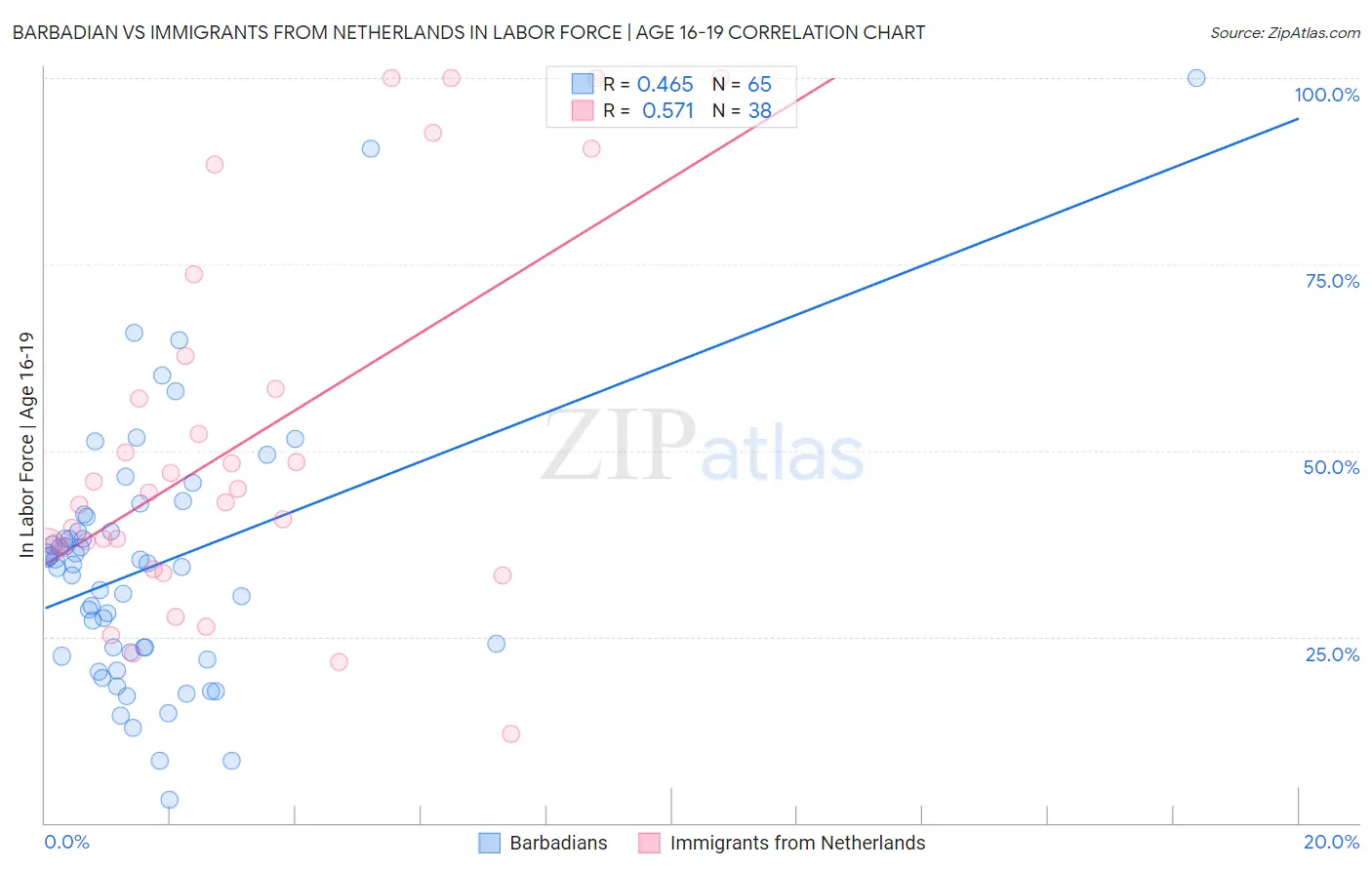 Barbadian vs Immigrants from Netherlands In Labor Force | Age 16-19