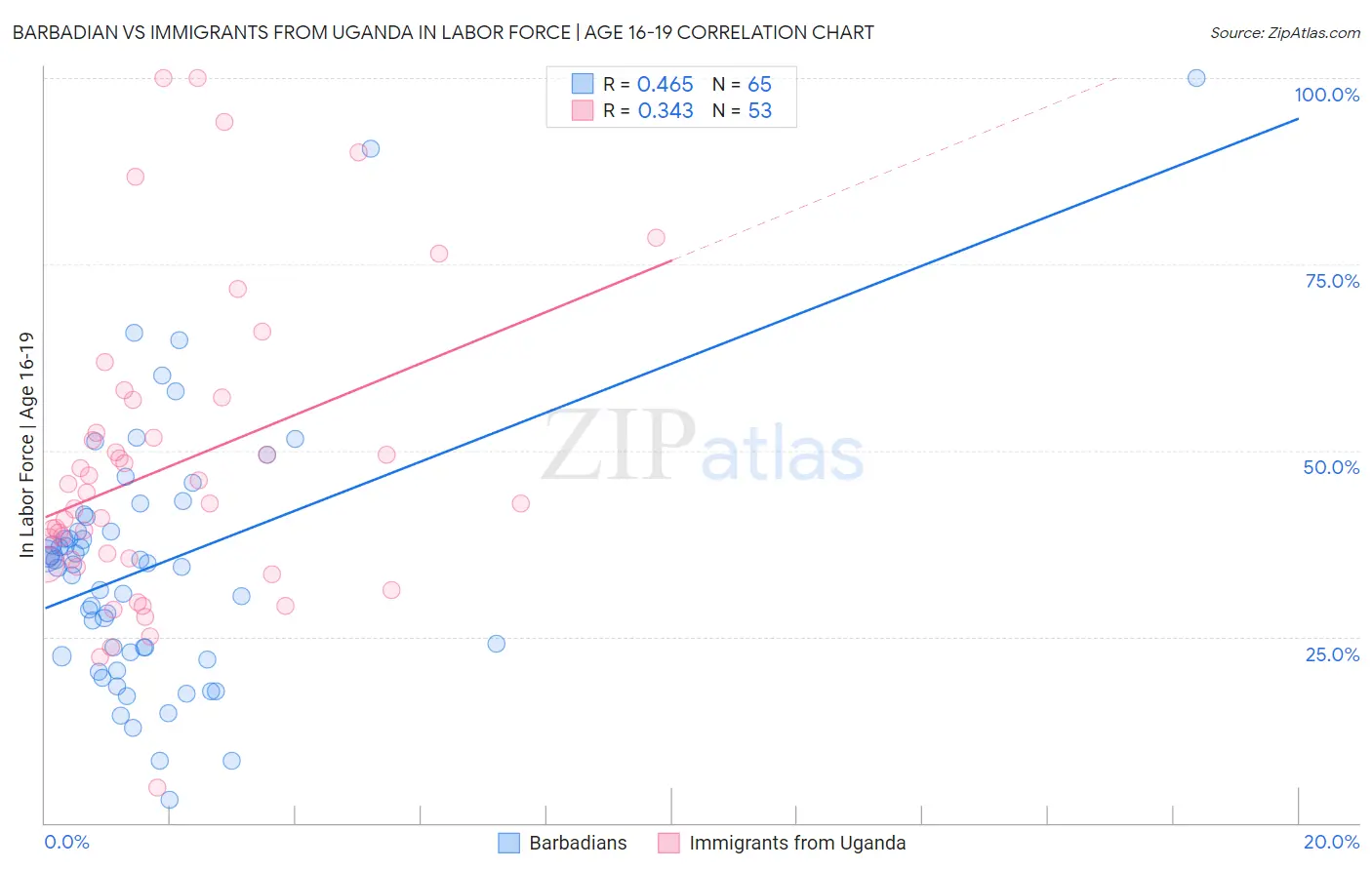 Barbadian vs Immigrants from Uganda In Labor Force | Age 16-19