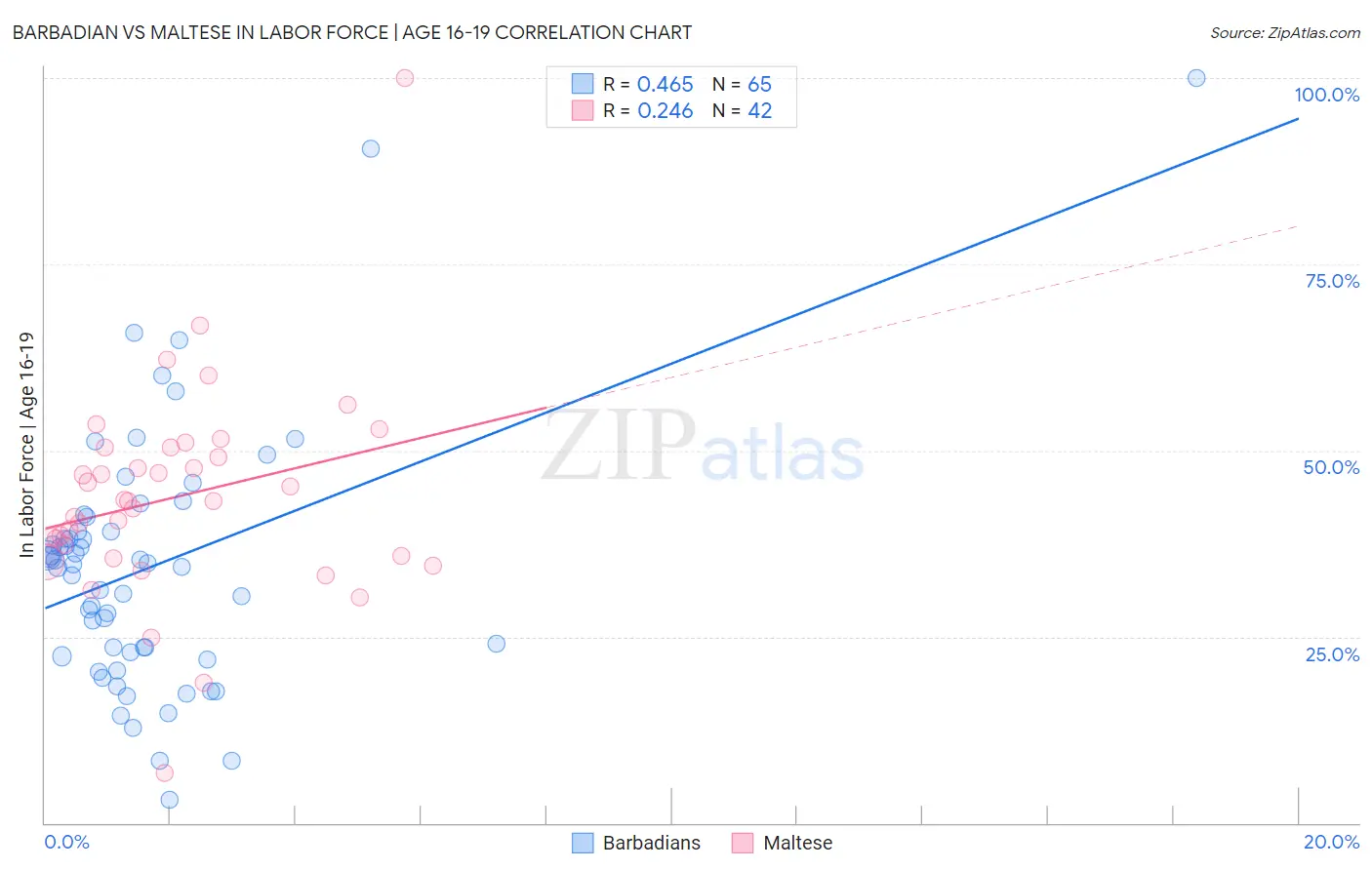 Barbadian vs Maltese In Labor Force | Age 16-19