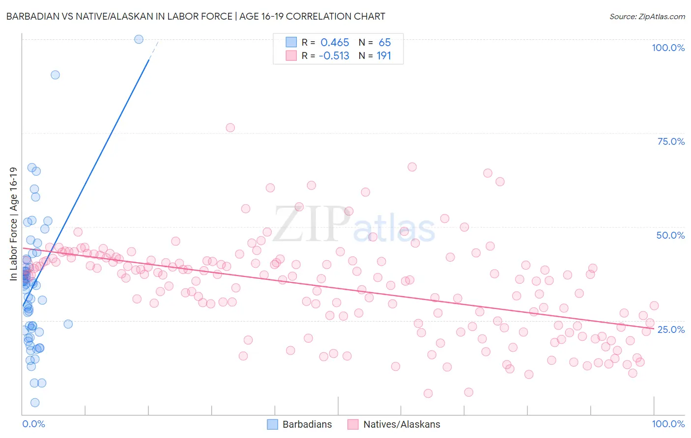 Barbadian vs Native/Alaskan In Labor Force | Age 16-19