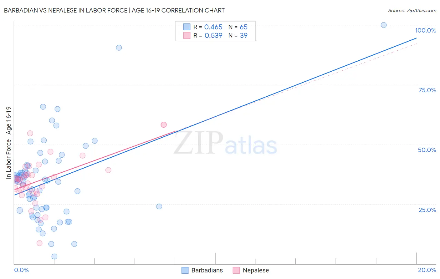Barbadian vs Nepalese In Labor Force | Age 16-19