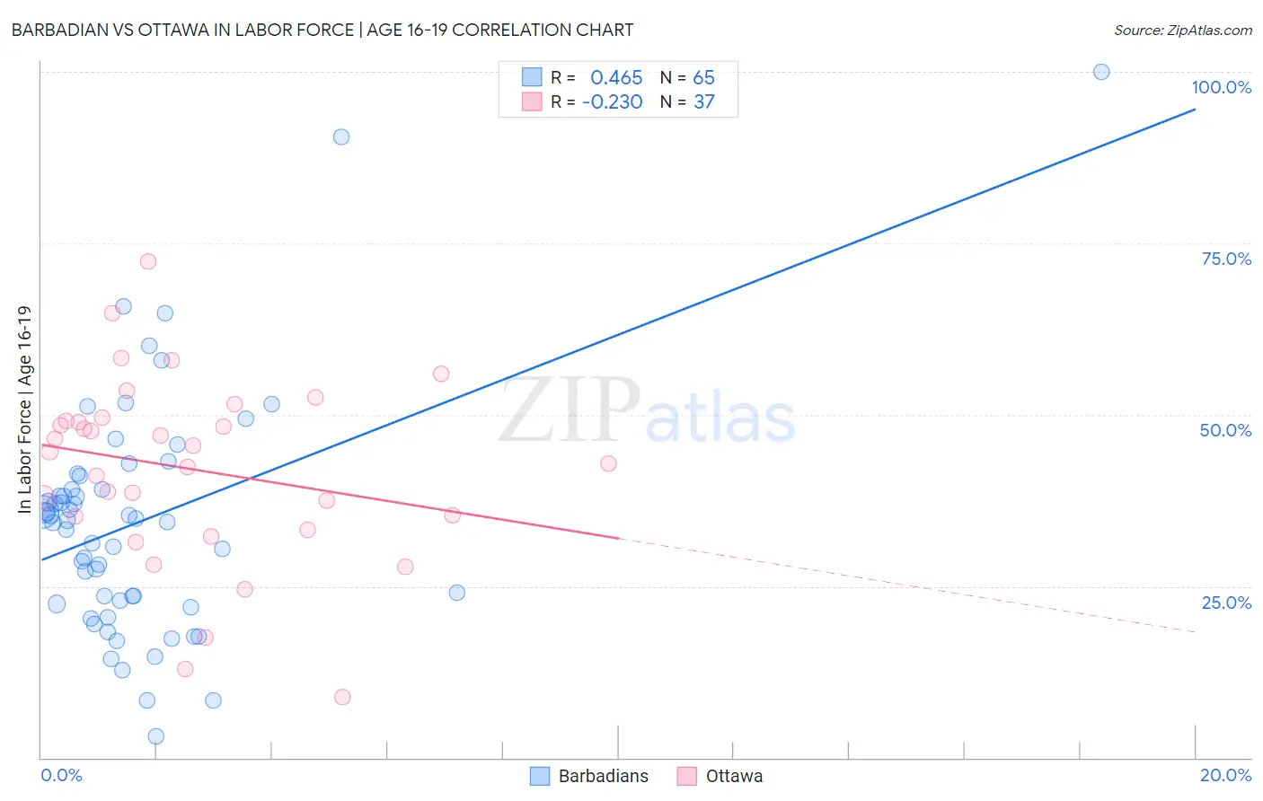 Barbadian vs Ottawa In Labor Force | Age 16-19