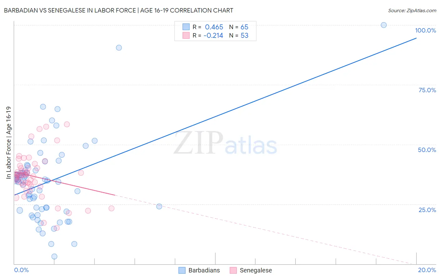 Barbadian vs Senegalese In Labor Force | Age 16-19