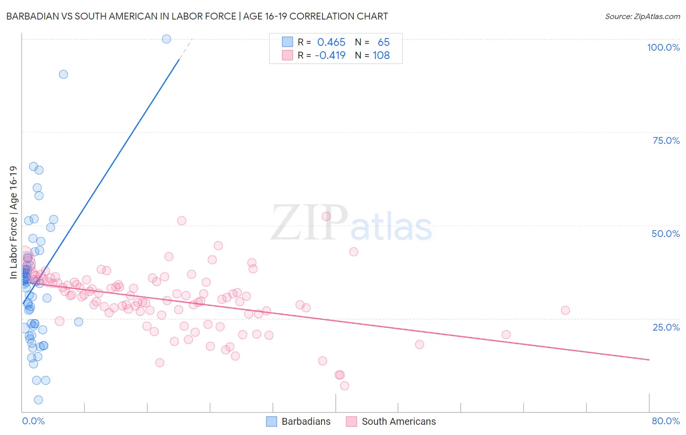 Barbadian vs South American In Labor Force | Age 16-19