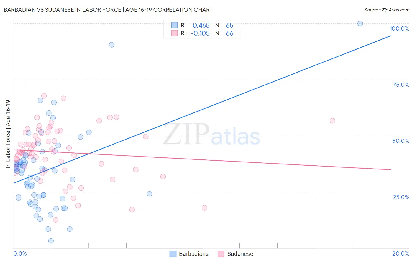 Barbadian vs Sudanese In Labor Force | Age 16-19