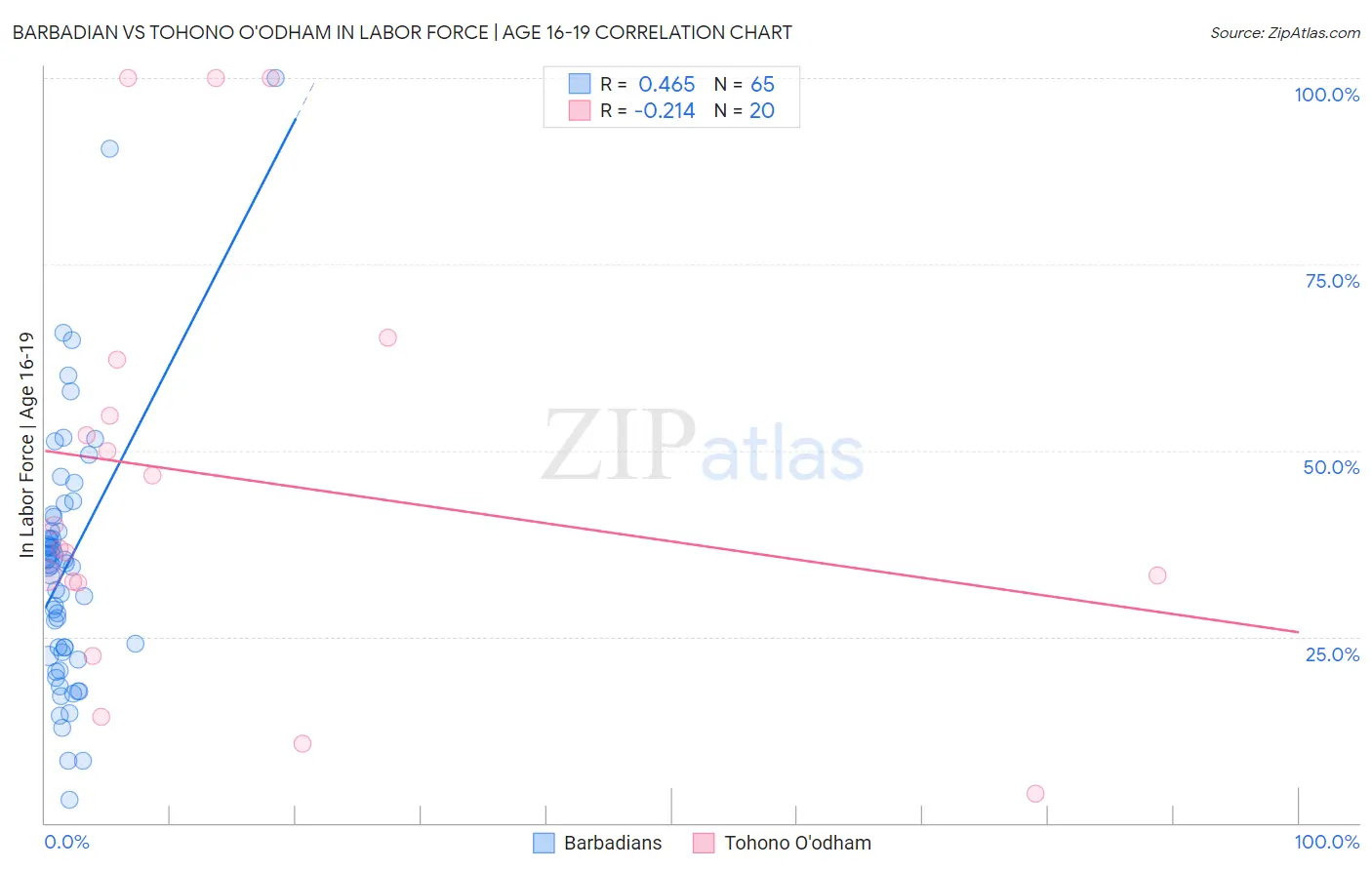 Barbadian vs Tohono O'odham In Labor Force | Age 16-19