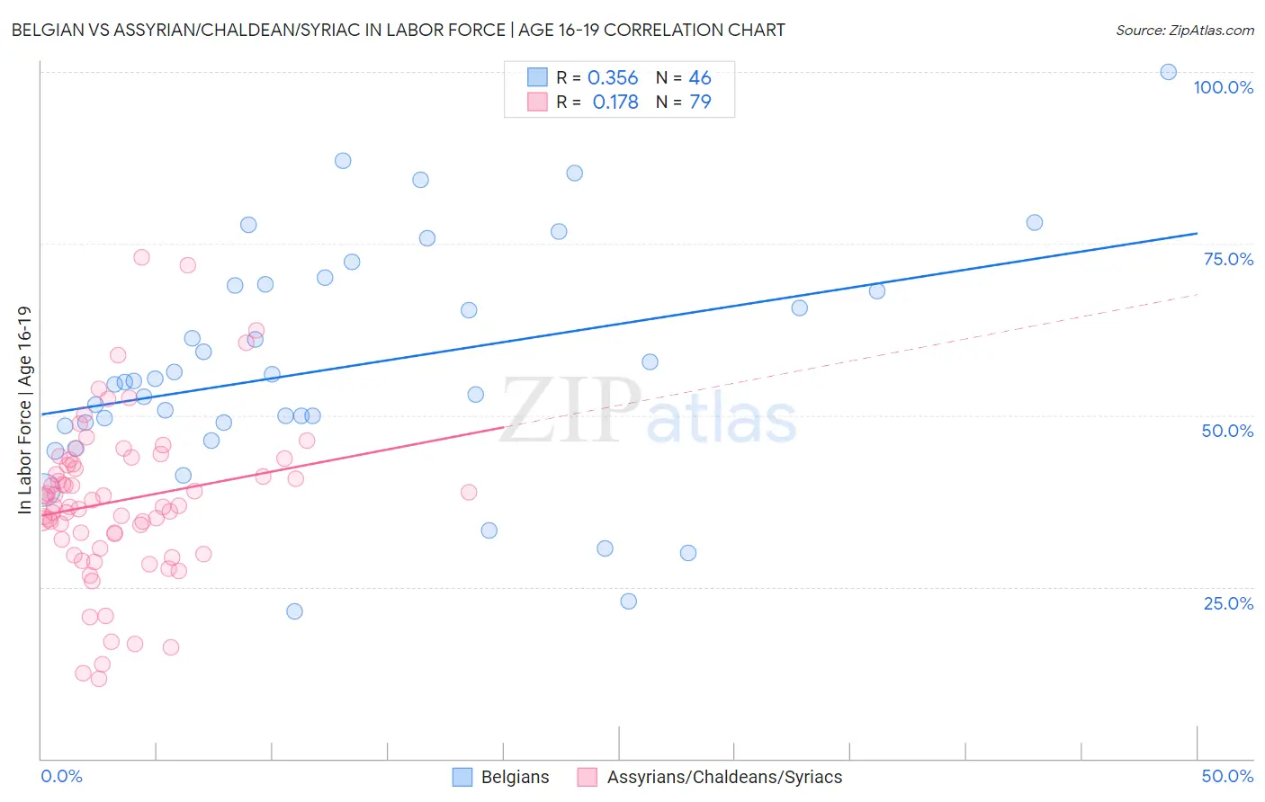 Belgian vs Assyrian/Chaldean/Syriac In Labor Force | Age 16-19