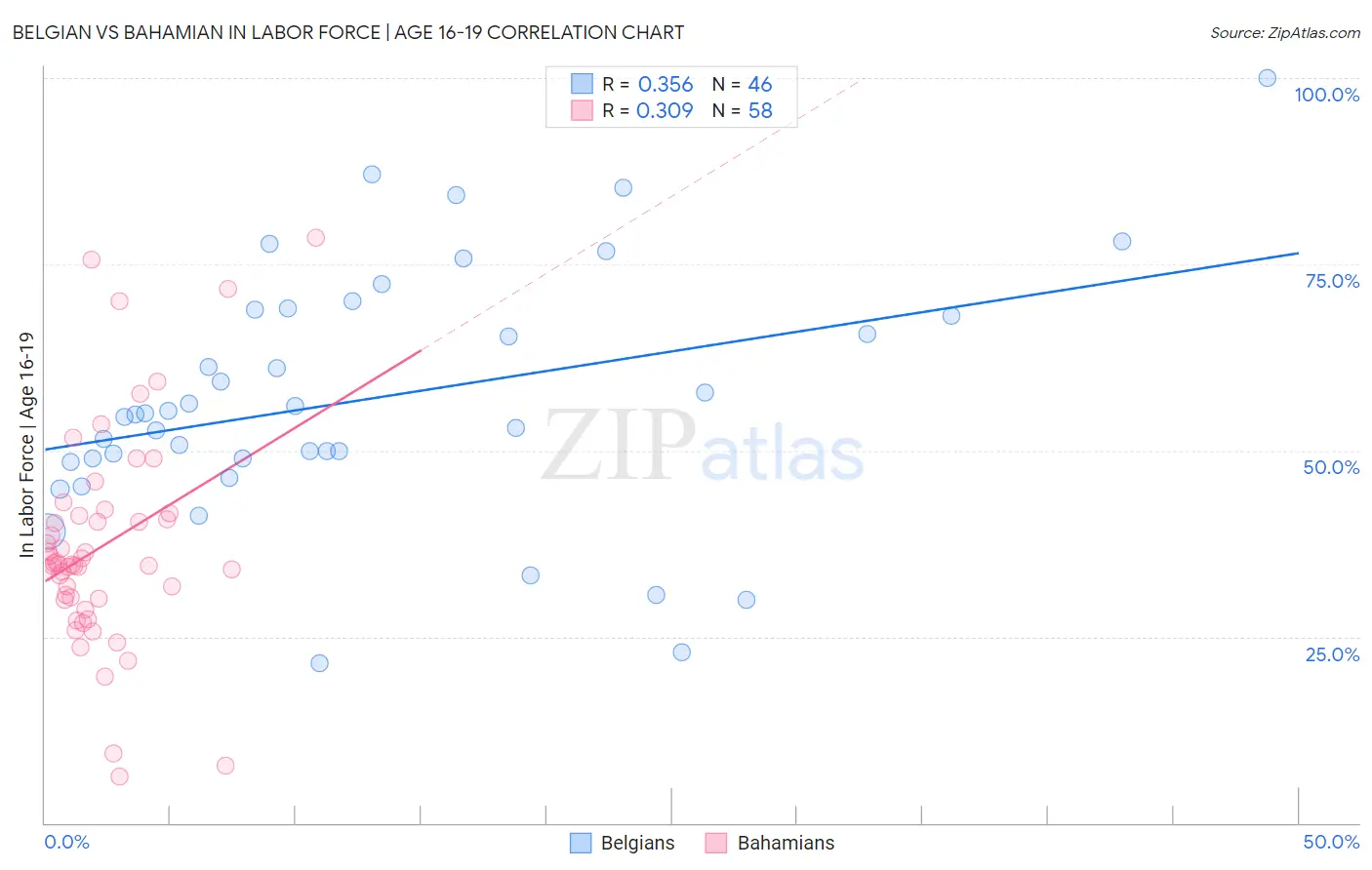 Belgian vs Bahamian In Labor Force | Age 16-19