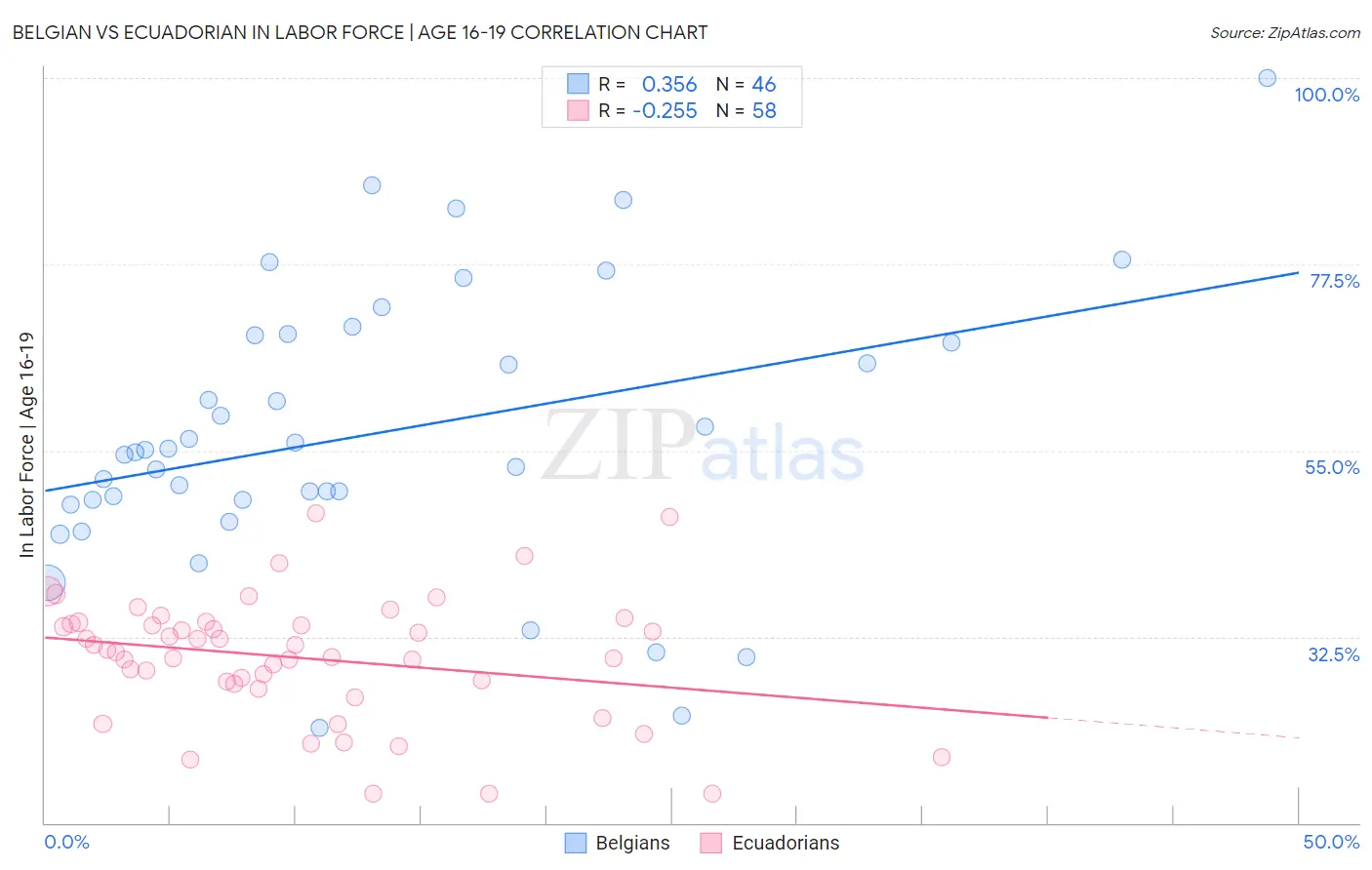 Belgian vs Ecuadorian In Labor Force | Age 16-19