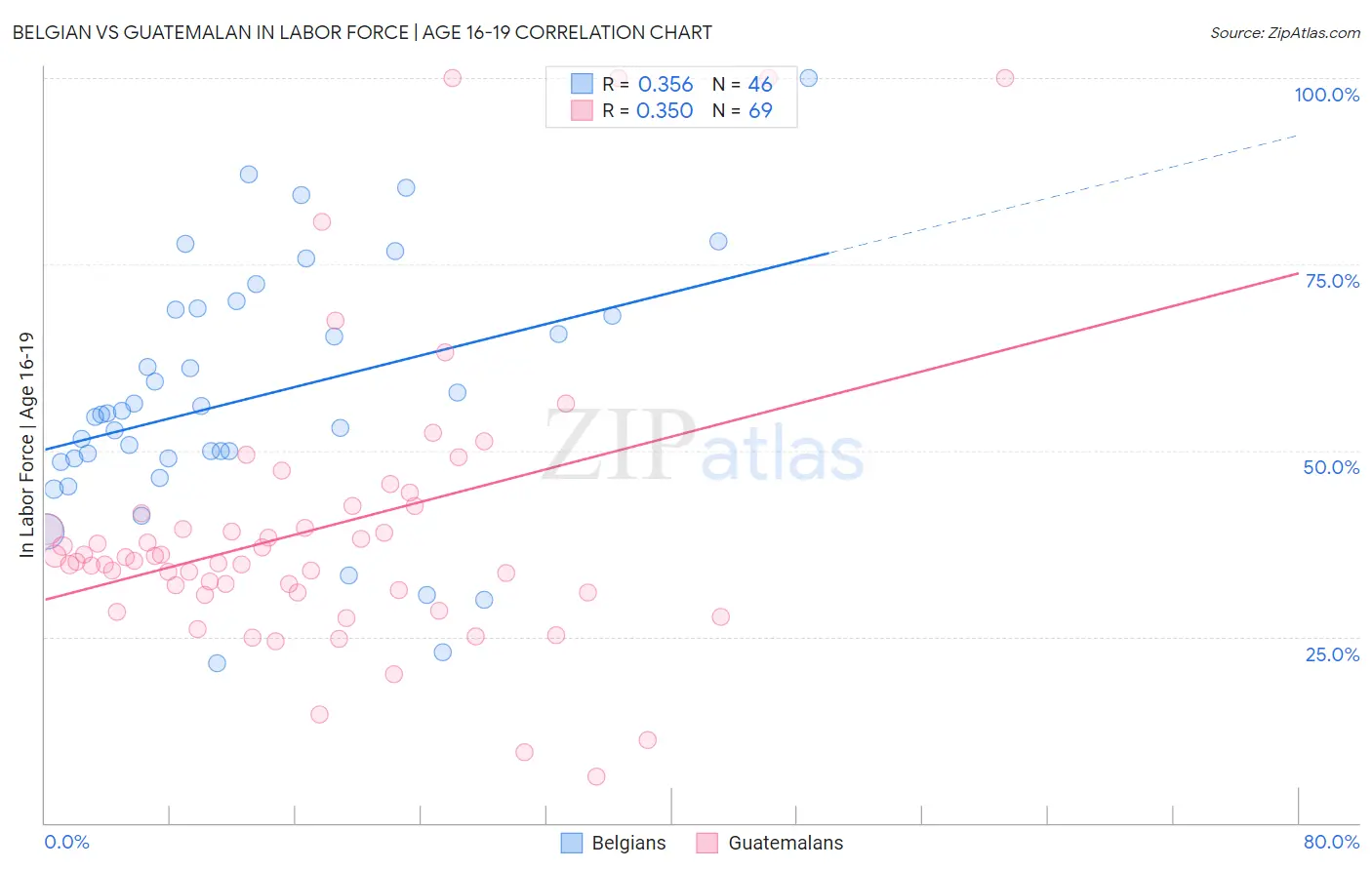 Belgian vs Guatemalan In Labor Force | Age 16-19