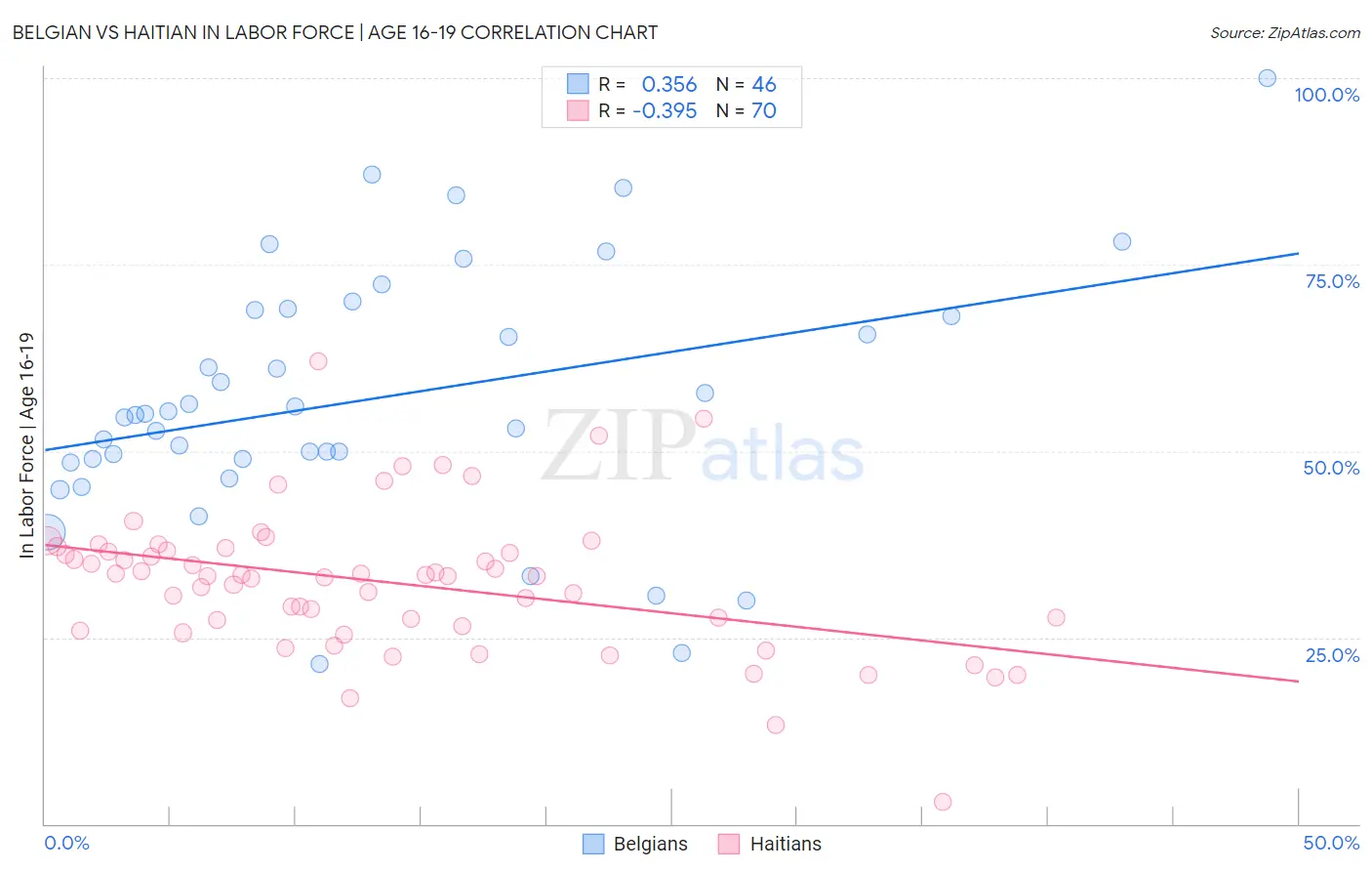 Belgian vs Haitian In Labor Force | Age 16-19