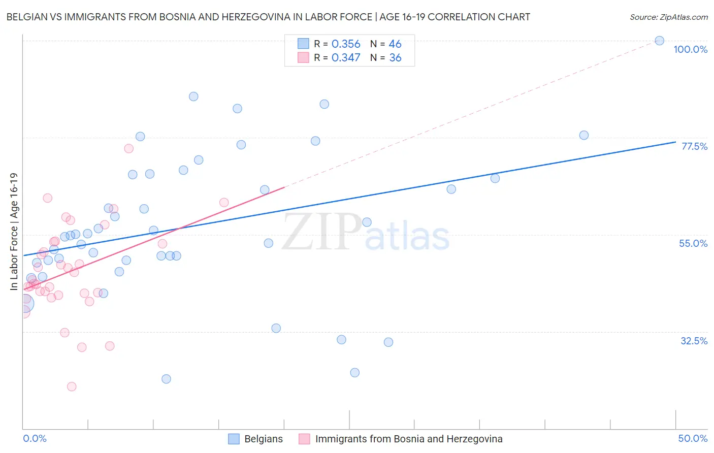 Belgian vs Immigrants from Bosnia and Herzegovina In Labor Force | Age 16-19