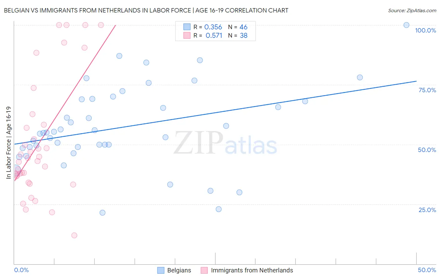 Belgian vs Immigrants from Netherlands In Labor Force | Age 16-19