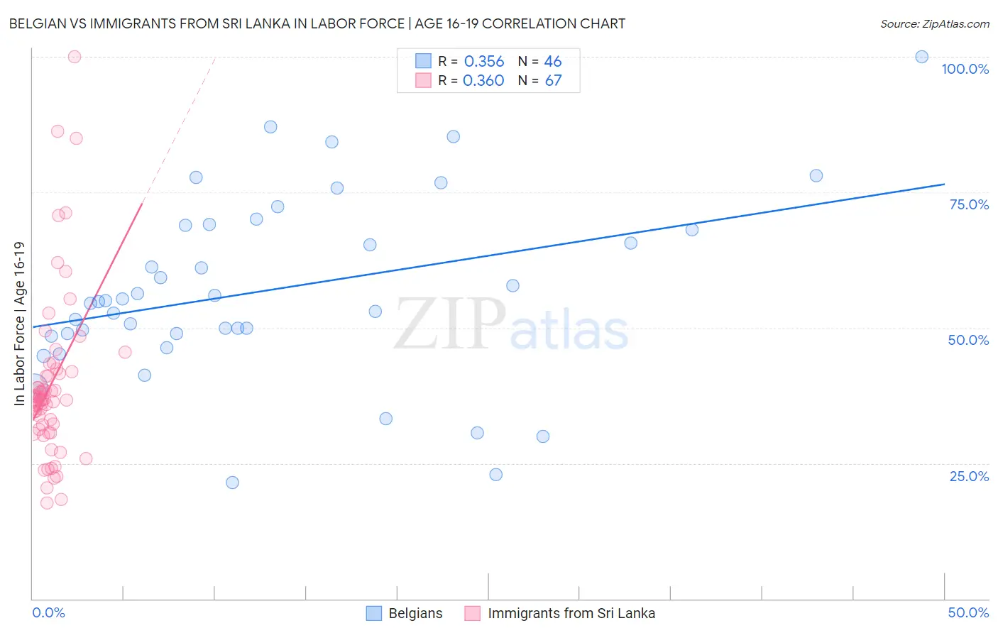 Belgian vs Immigrants from Sri Lanka In Labor Force | Age 16-19