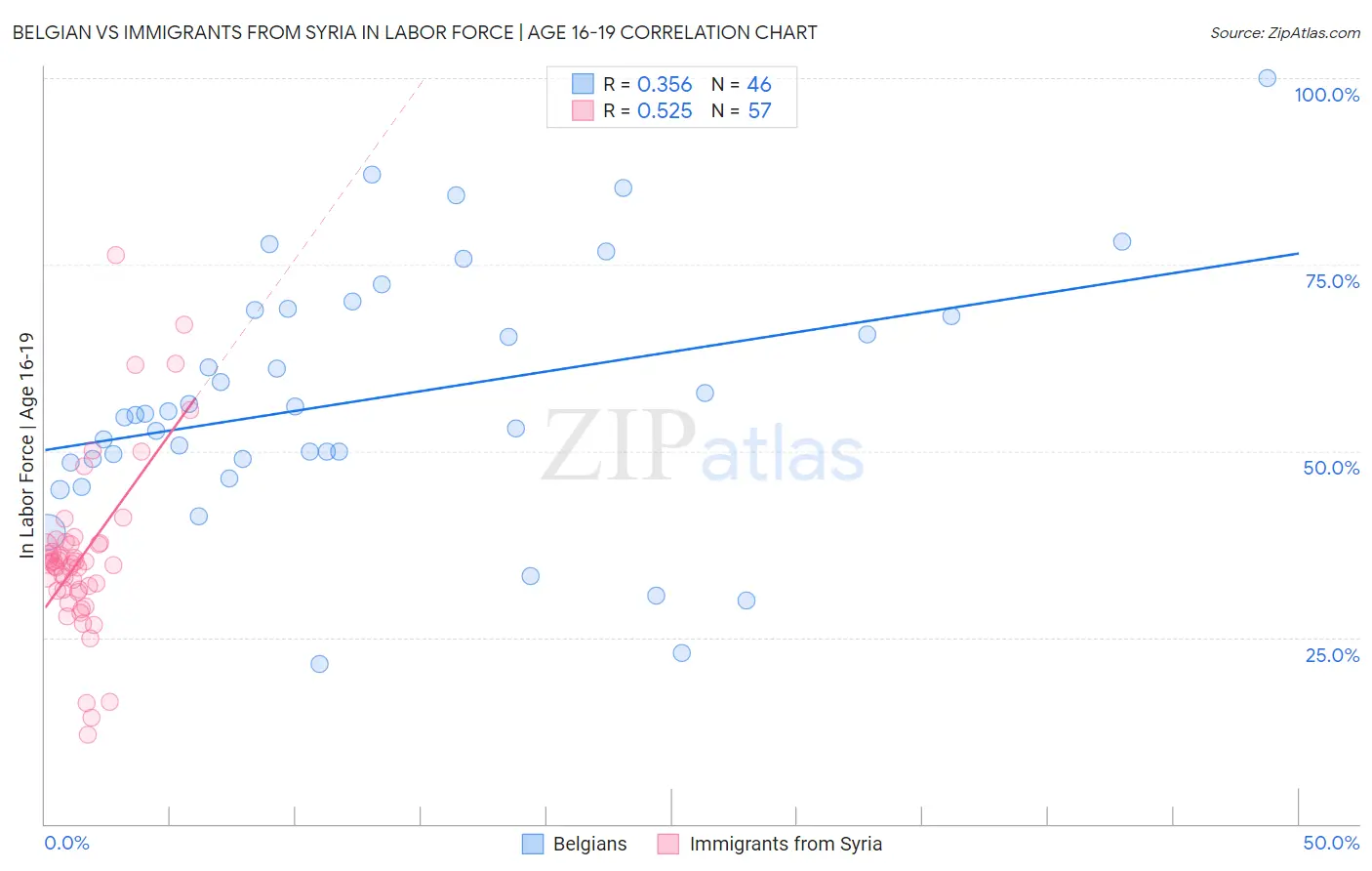 Belgian vs Immigrants from Syria In Labor Force | Age 16-19