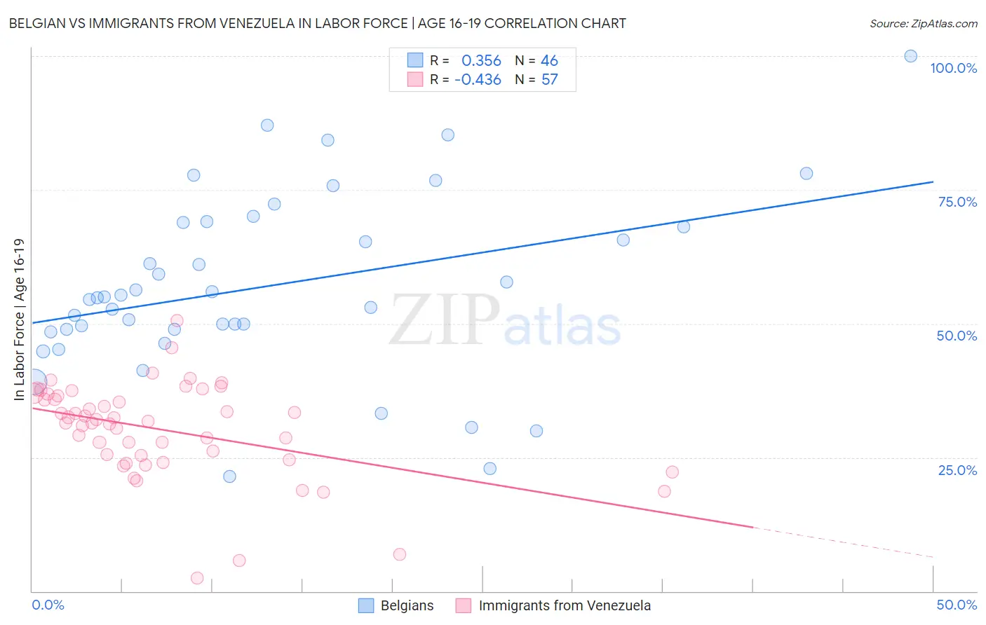 Belgian vs Immigrants from Venezuela In Labor Force | Age 16-19
