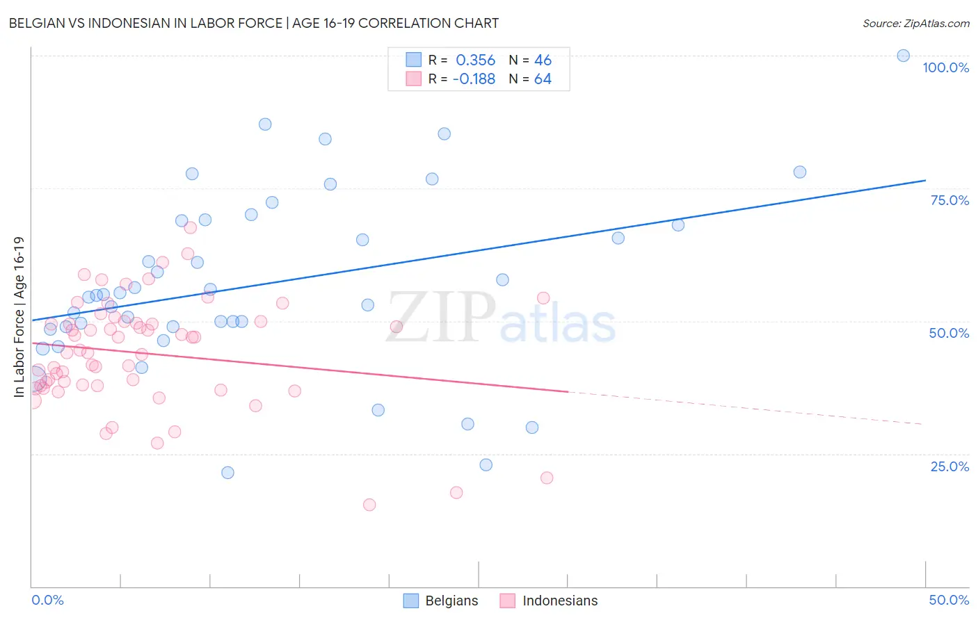 Belgian vs Indonesian In Labor Force | Age 16-19