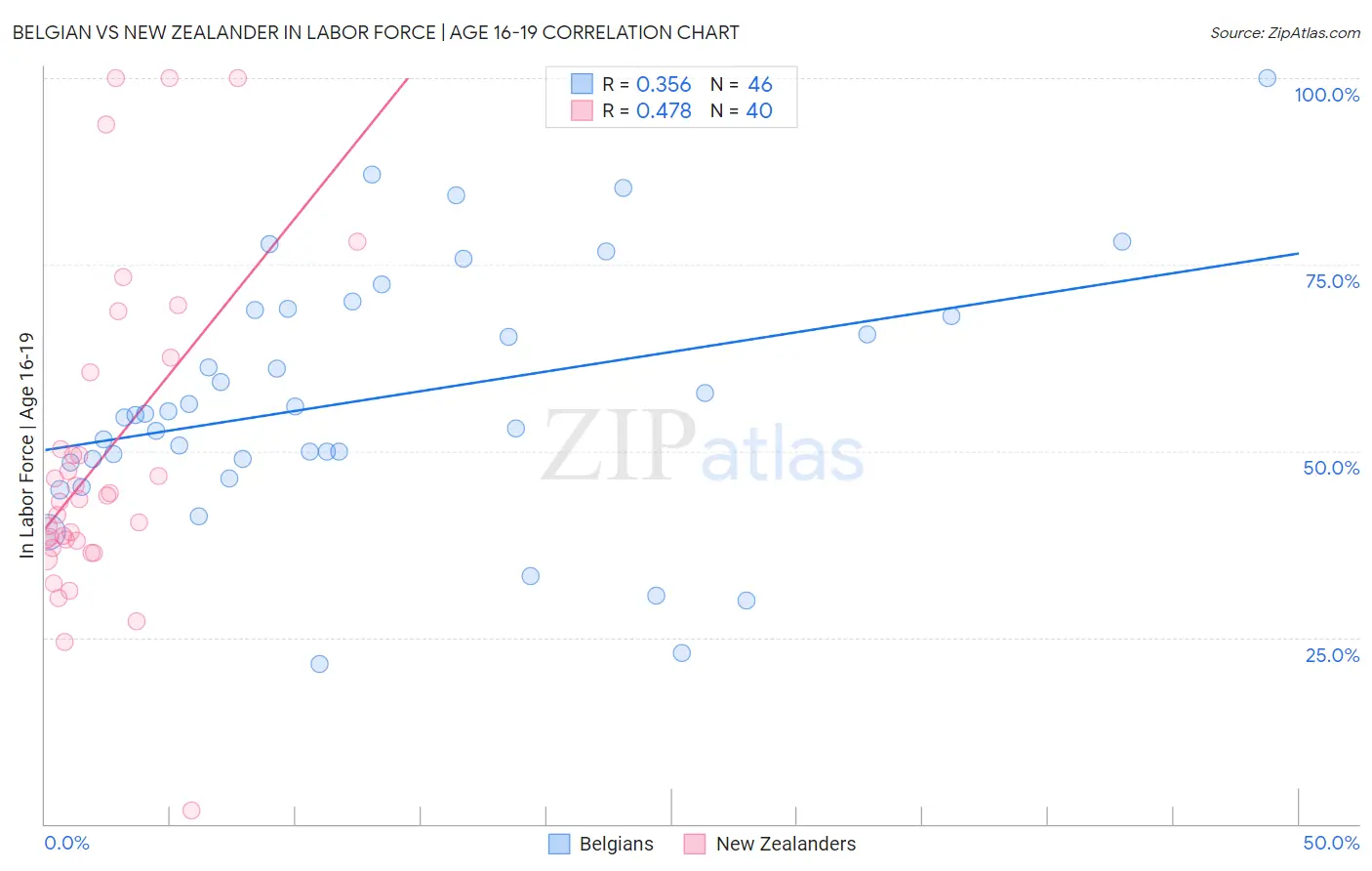 Belgian vs New Zealander In Labor Force | Age 16-19