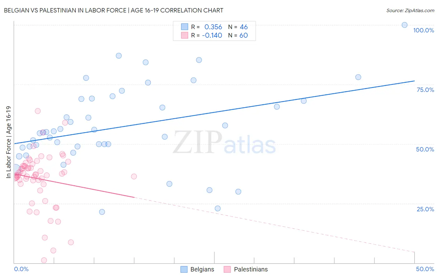 Belgian vs Palestinian In Labor Force | Age 16-19