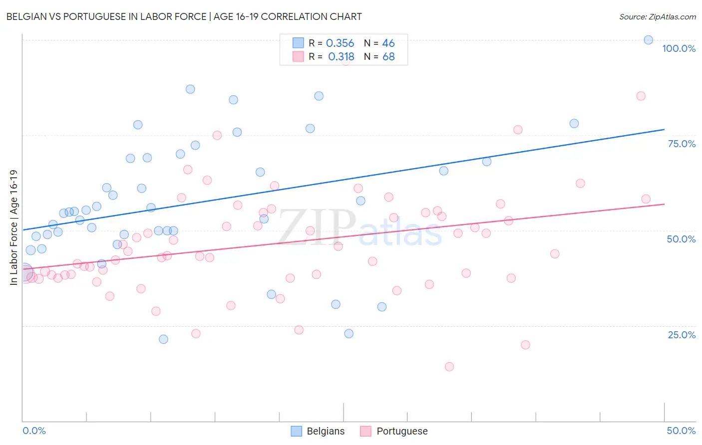 Belgian vs Portuguese In Labor Force | Age 16-19