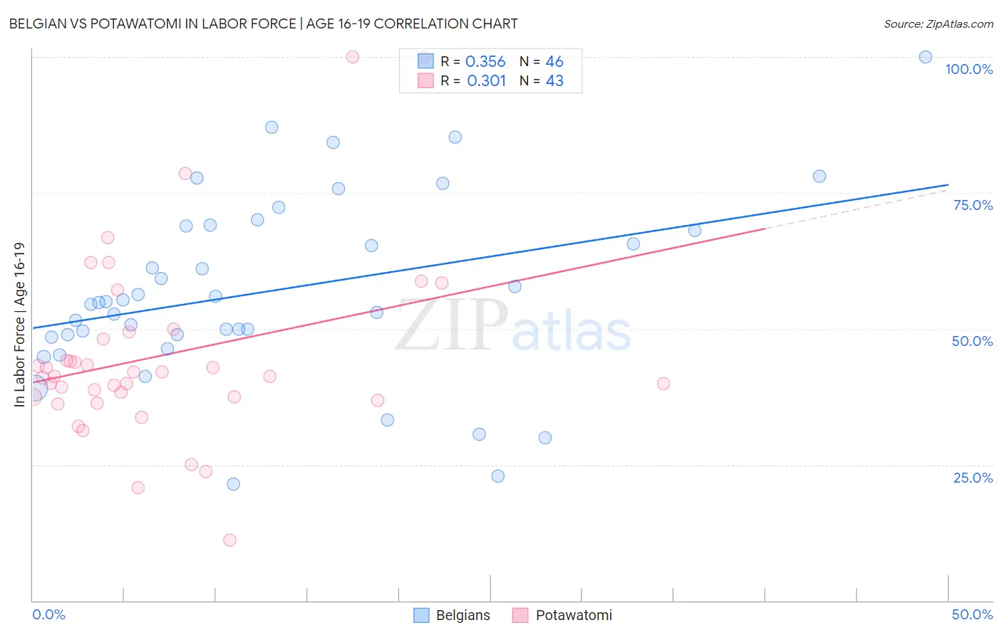 Belgian vs Potawatomi In Labor Force | Age 16-19