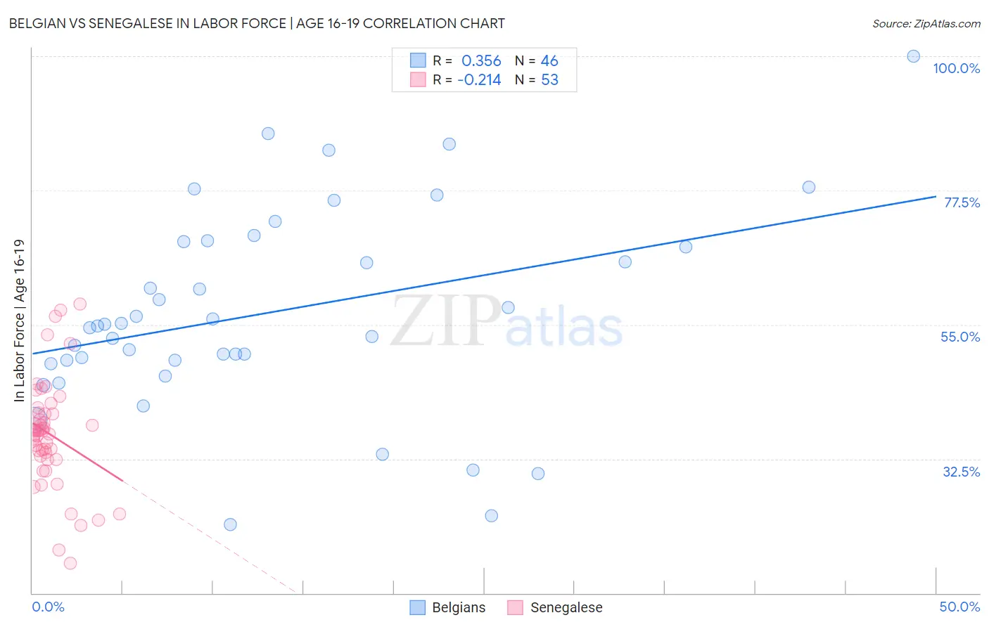 Belgian vs Senegalese In Labor Force | Age 16-19