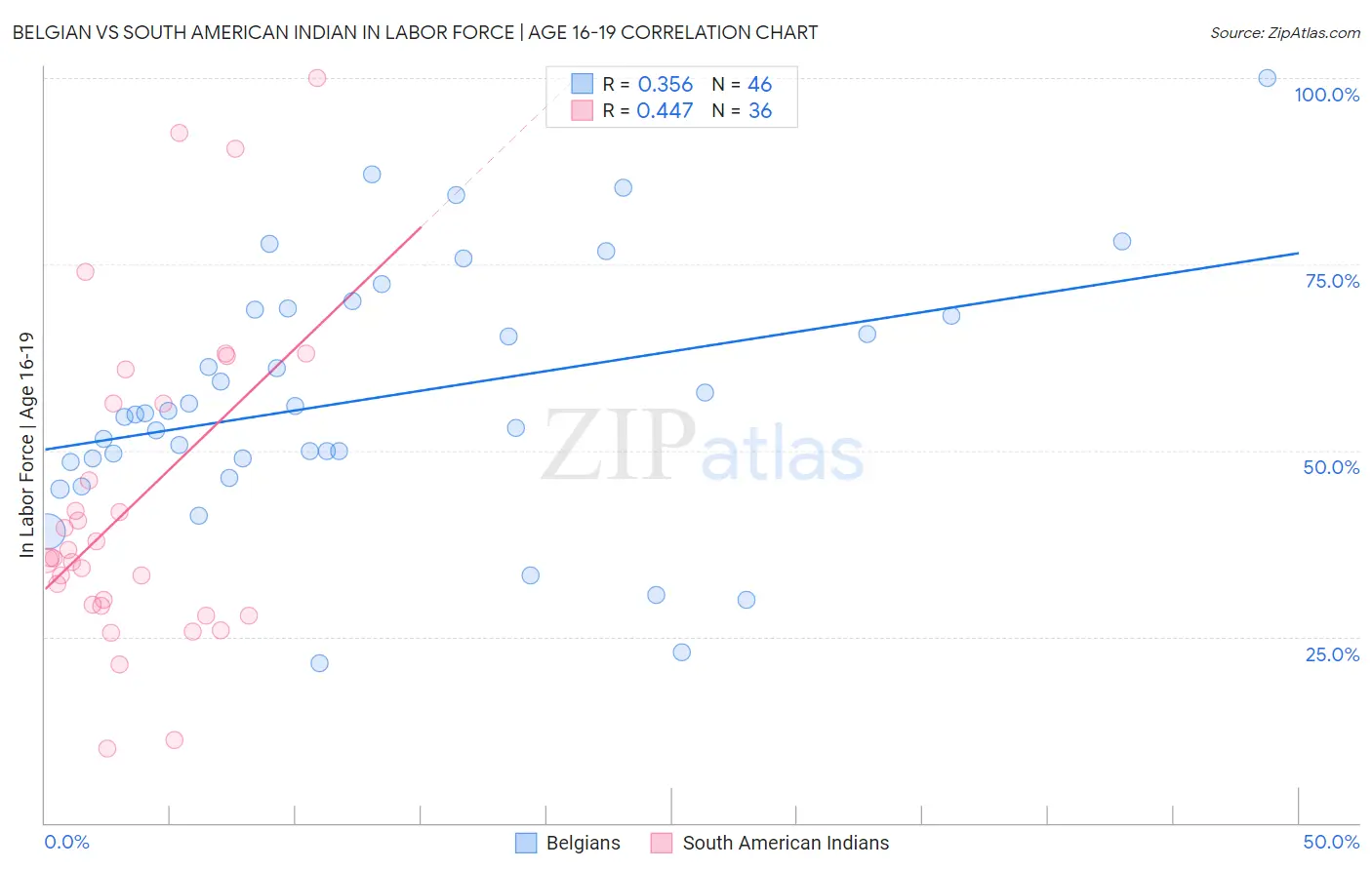Belgian vs South American Indian In Labor Force | Age 16-19