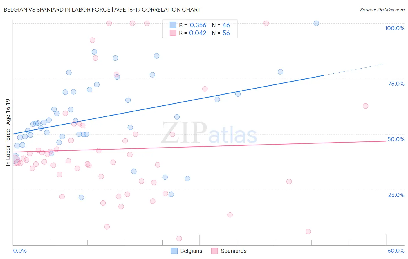 Belgian vs Spaniard In Labor Force | Age 16-19