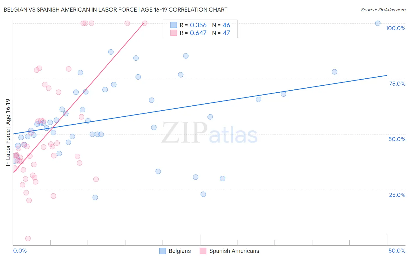 Belgian vs Spanish American In Labor Force | Age 16-19