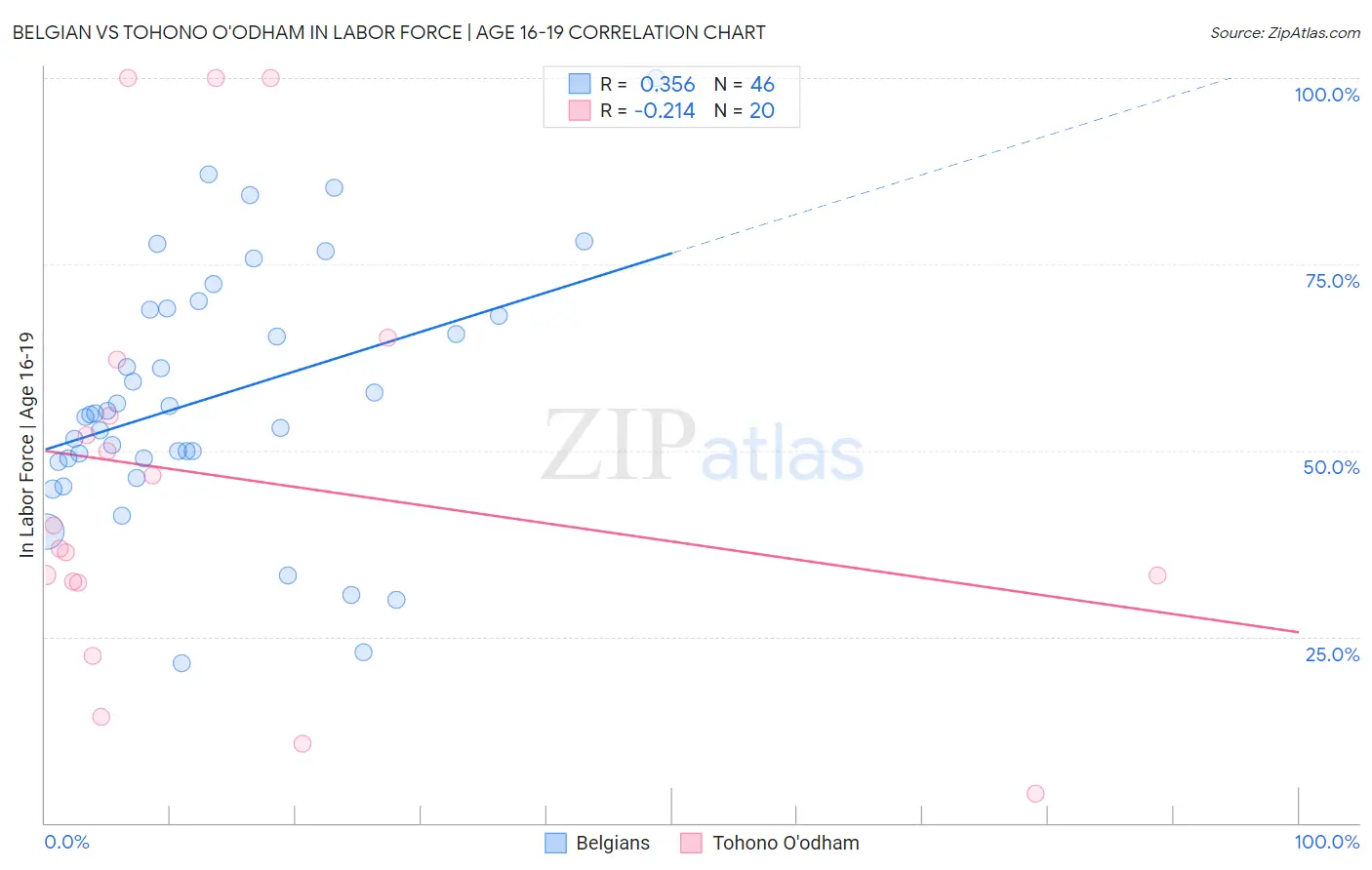Belgian vs Tohono O'odham In Labor Force | Age 16-19