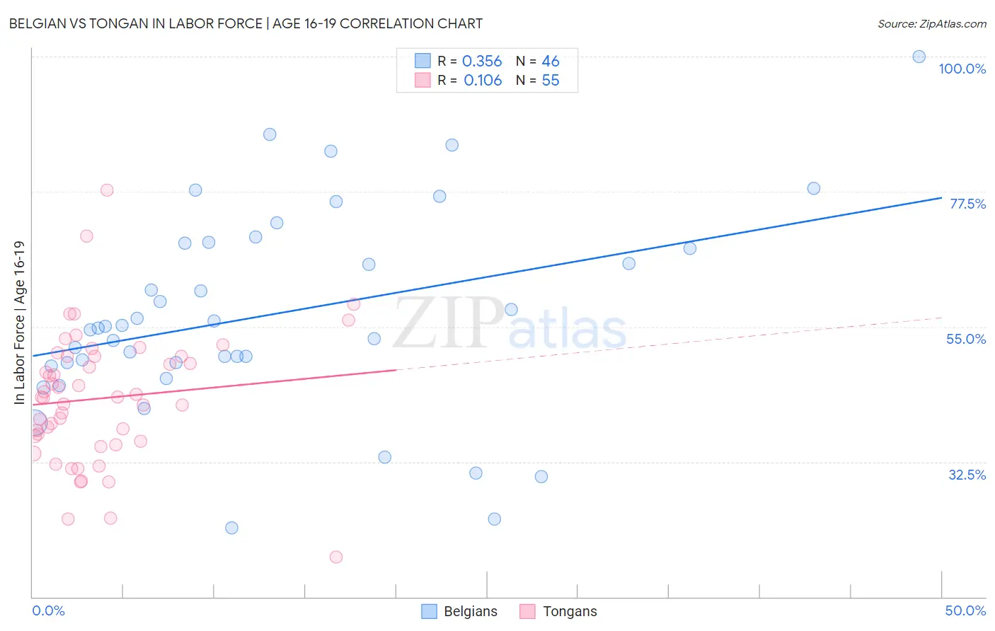 Belgian vs Tongan In Labor Force | Age 16-19