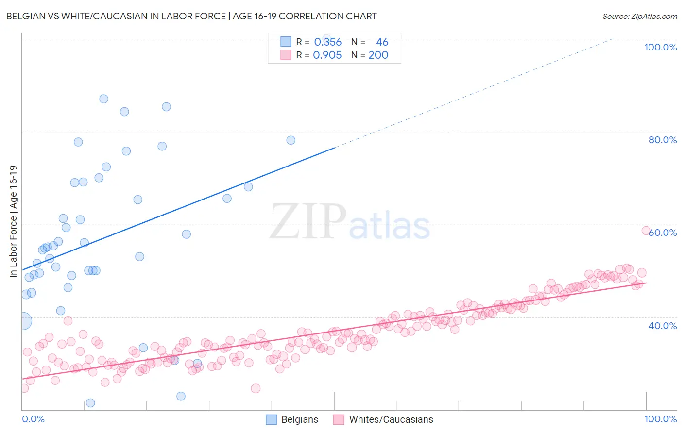 Belgian vs White/Caucasian In Labor Force | Age 16-19