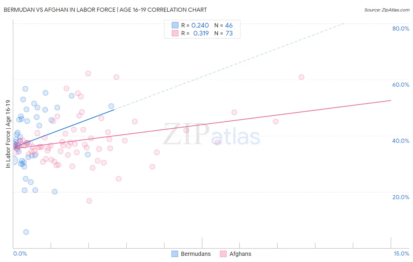 Bermudan vs Afghan In Labor Force | Age 16-19