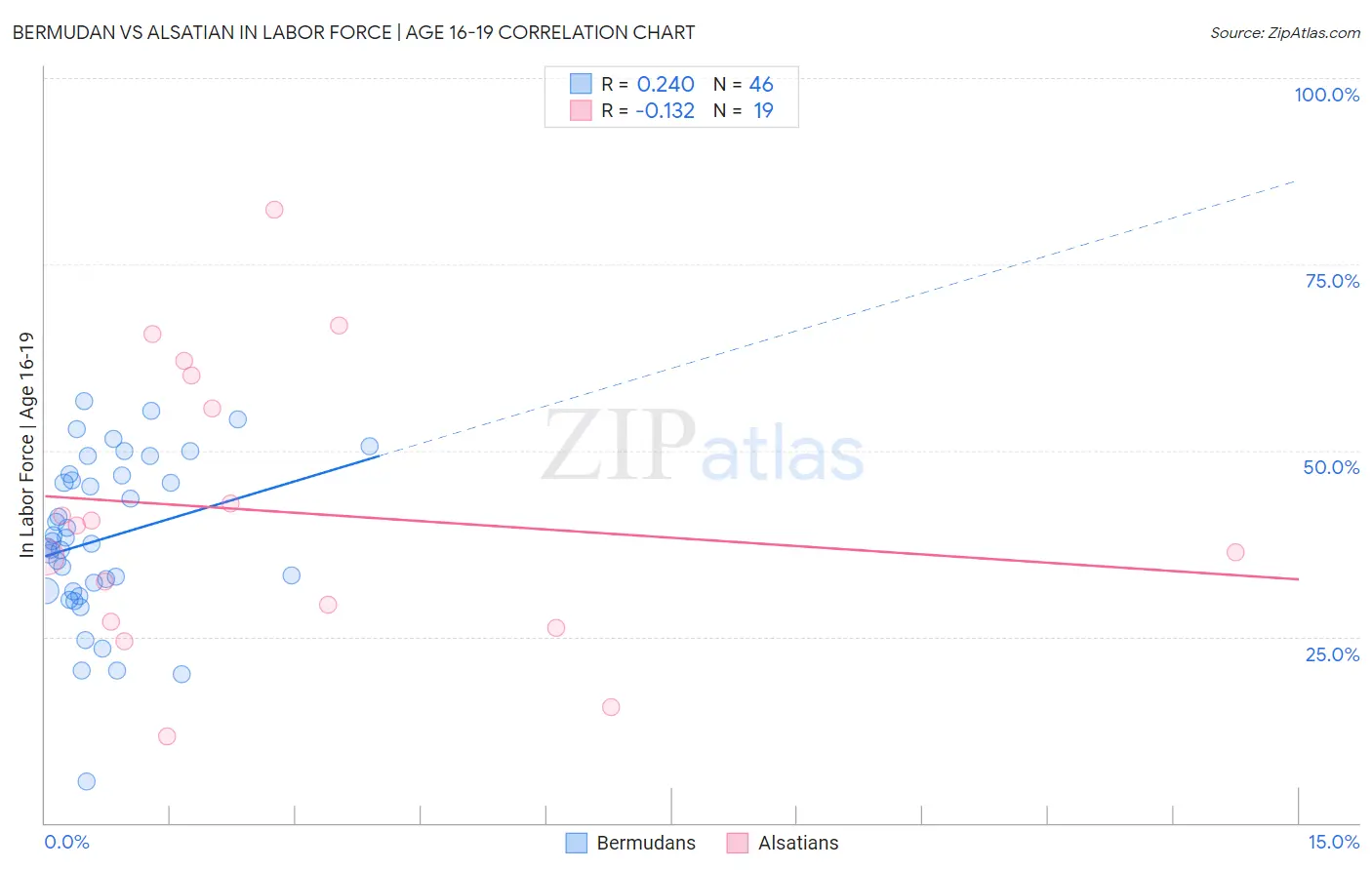 Bermudan vs Alsatian In Labor Force | Age 16-19