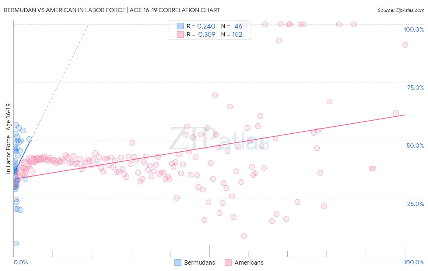 Bermudan vs American In Labor Force | Age 16-19