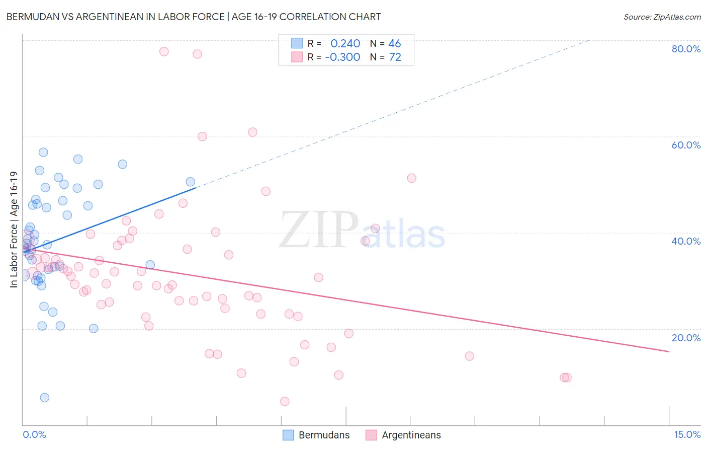 Bermudan vs Argentinean In Labor Force | Age 16-19