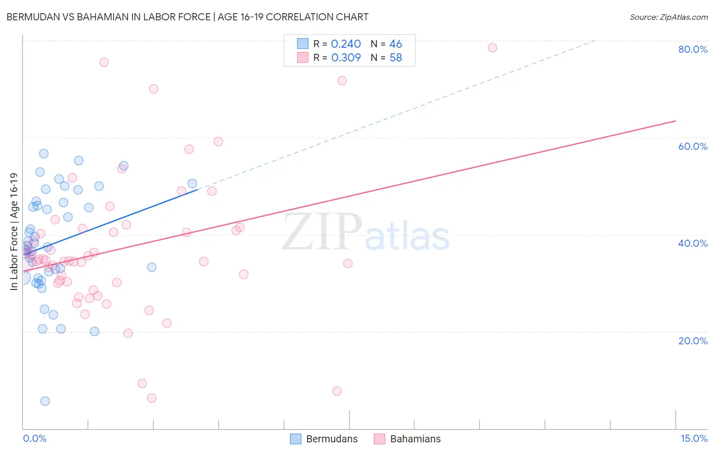 Bermudan vs Bahamian In Labor Force | Age 16-19